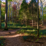 Heating and Cooling Contractor Emergency HVAC in Hermitage Woods Nashville TN