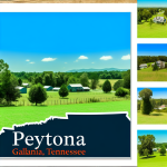 Heating and Cooling Contractor Emergency HVAC in Peytona Gallatin TN